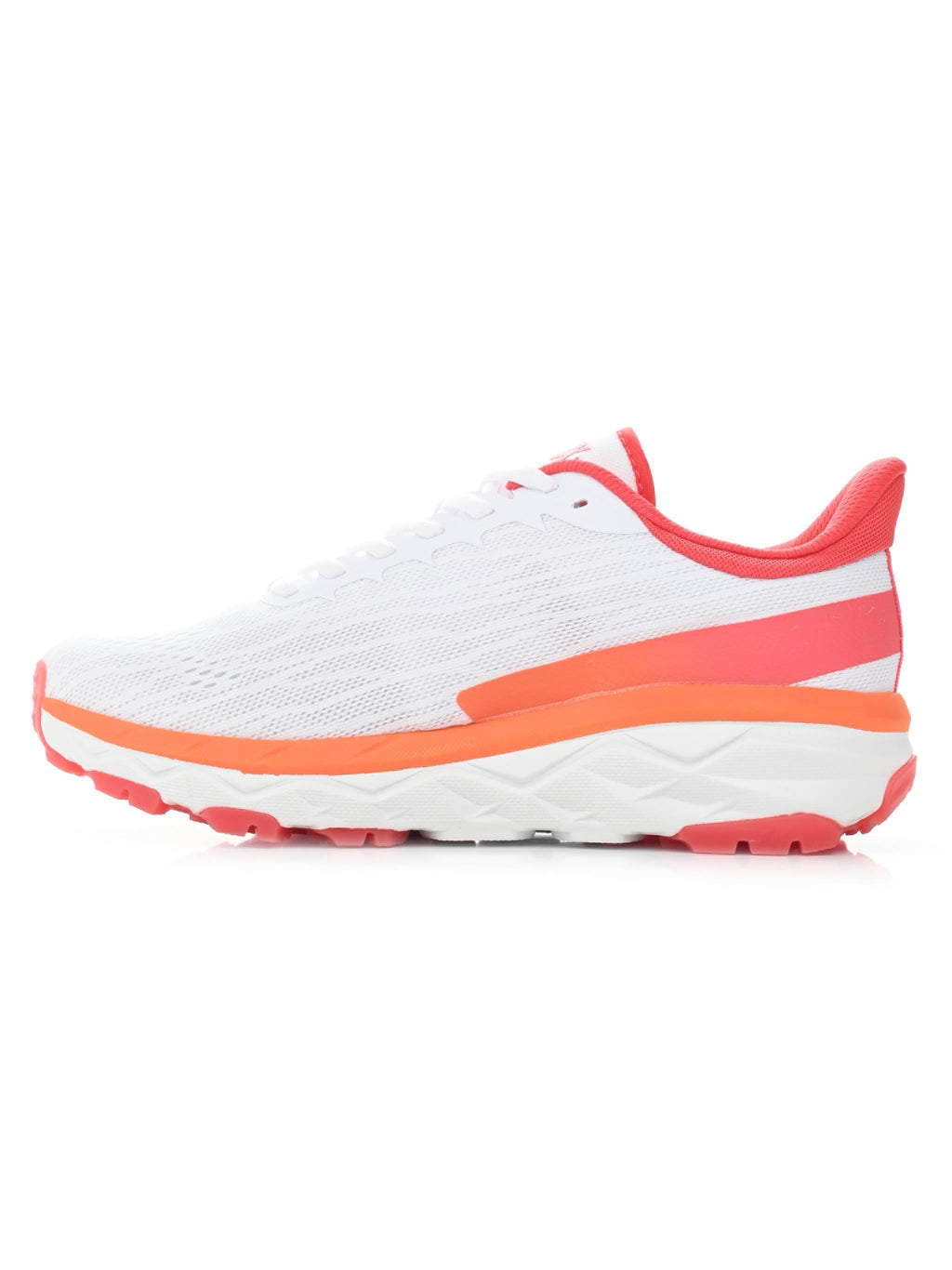 RAPID W Dorko Middle East