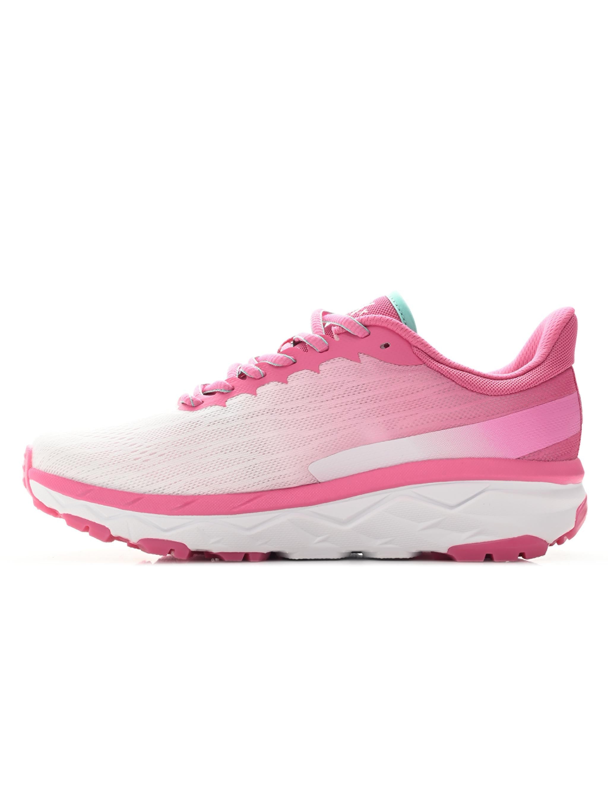 RAPID W Dorko Middle East