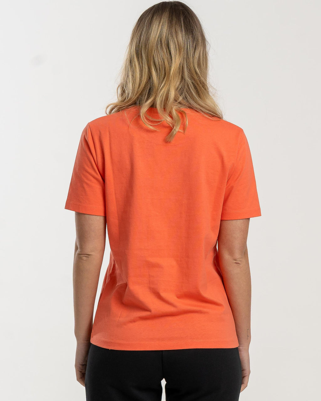 RAVENE Dorko Middle East